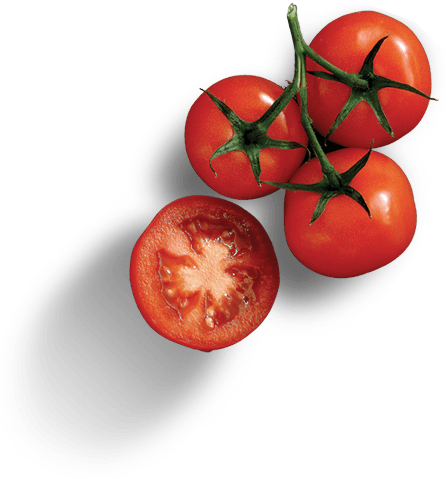 tomato image